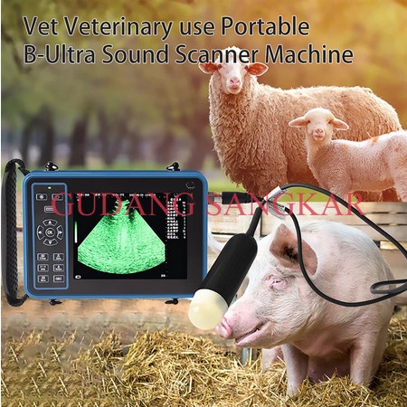 USG Hewan Ternak Alat Tes Pemindai Kehamilan Ultrasound Portable - E-Convex Probe