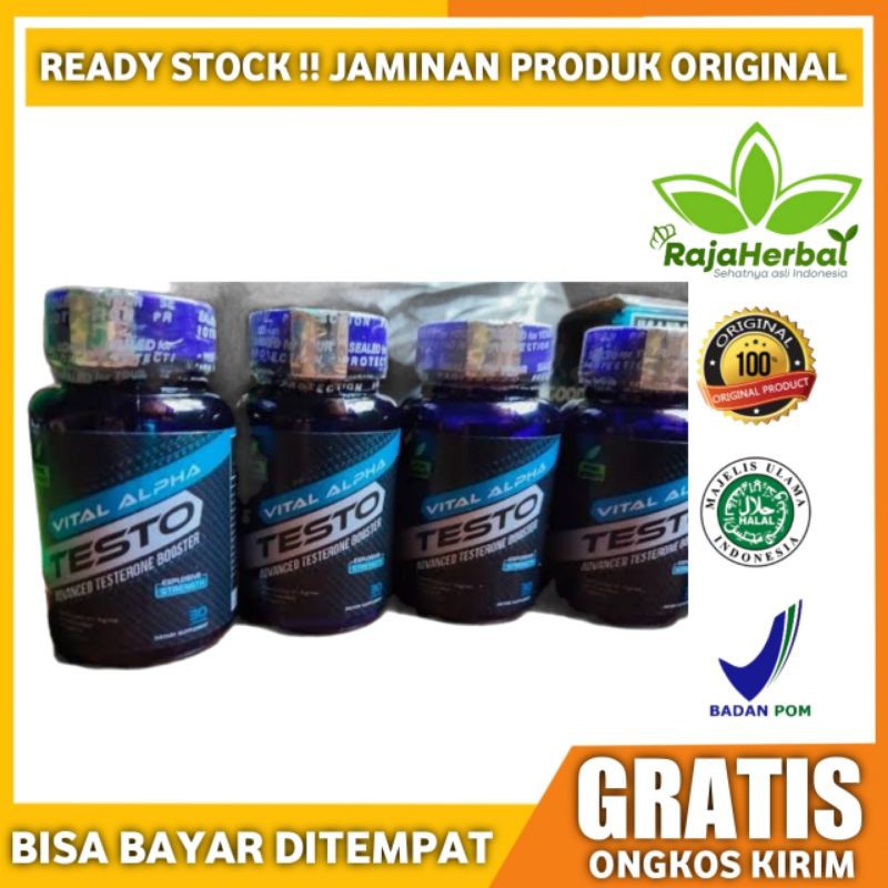 Testo Vital Alpha Asli New Formula Suplemen Testo Alpha Original Herbal - Obat Pembesar Alat Vital