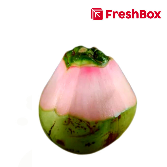 

Kelapa Hijau Kupas 1 pcs