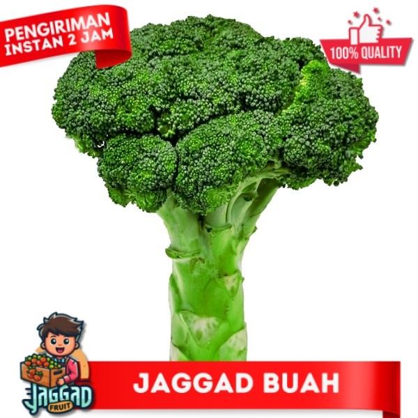 

BROCOLI 220-280 GR JAGGA FRUIT