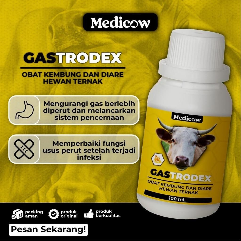 Medicow Gastrodex Obat Kembung Untuk Sapi 100ml | sapi kembung | obat kembung sapi |