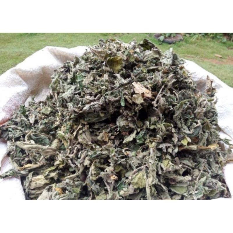 

NEW PROMO Daun Kersen Kering/Basah 250Gram-1kg