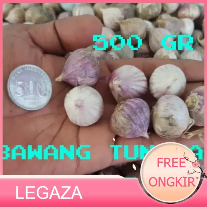 

BANG PUTIH TUNGGAL/BANG LANANG SUPER UKURAN BESAR 500GR - sedang - Legaza