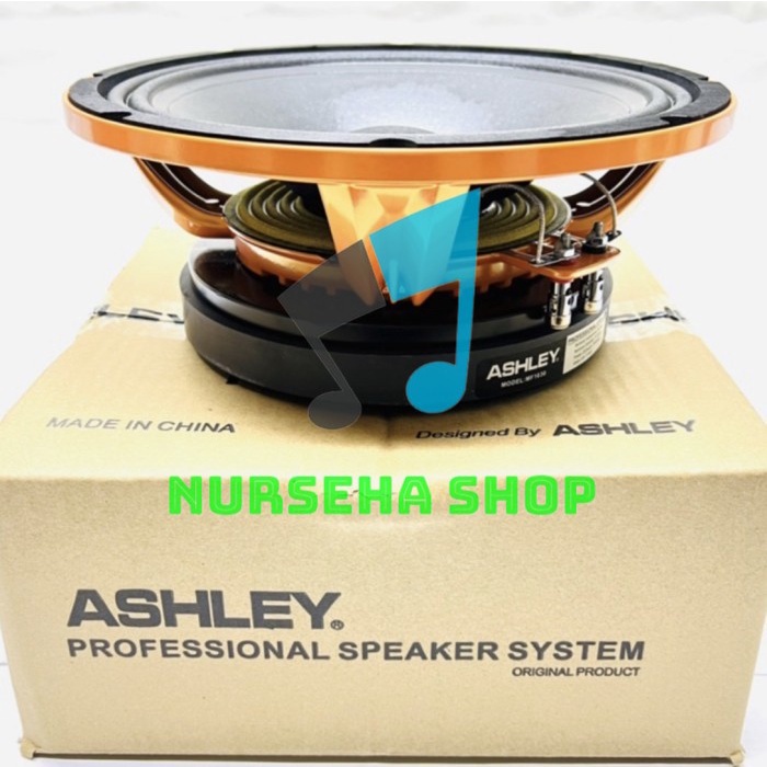 Speaker 10inch ashley MF1030 original