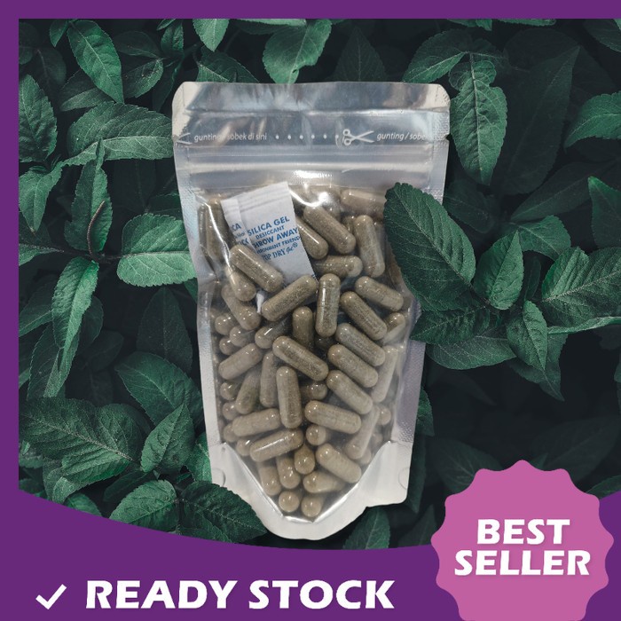 

TERLARIS DAUN SUKUN Kapsul 100 Curah Herbal Jantung Liver Diabetes