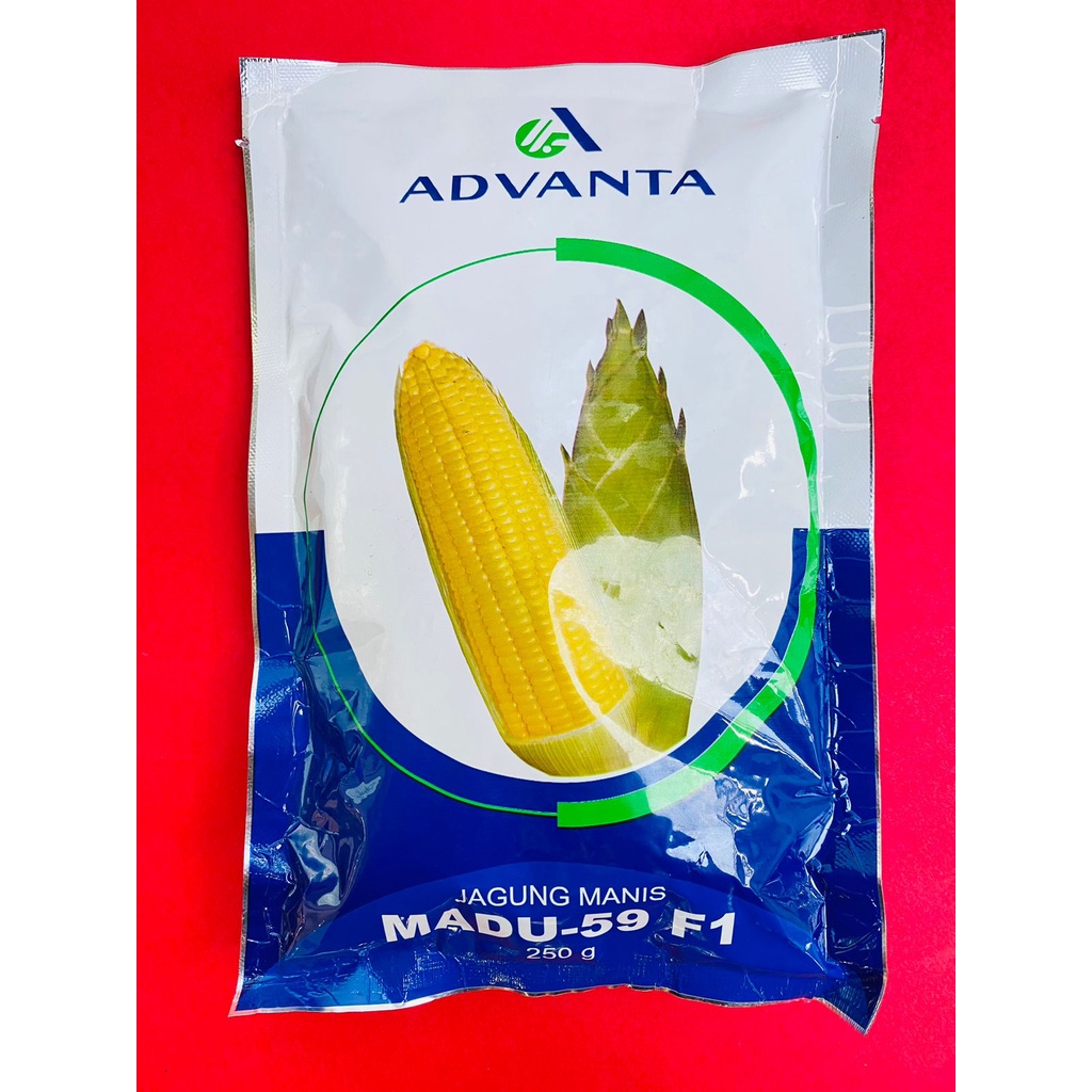 Benih Jagung Manis MADU-59 F1 kemasan 250gr dari ADVANTA hasil bagus dan melimpah