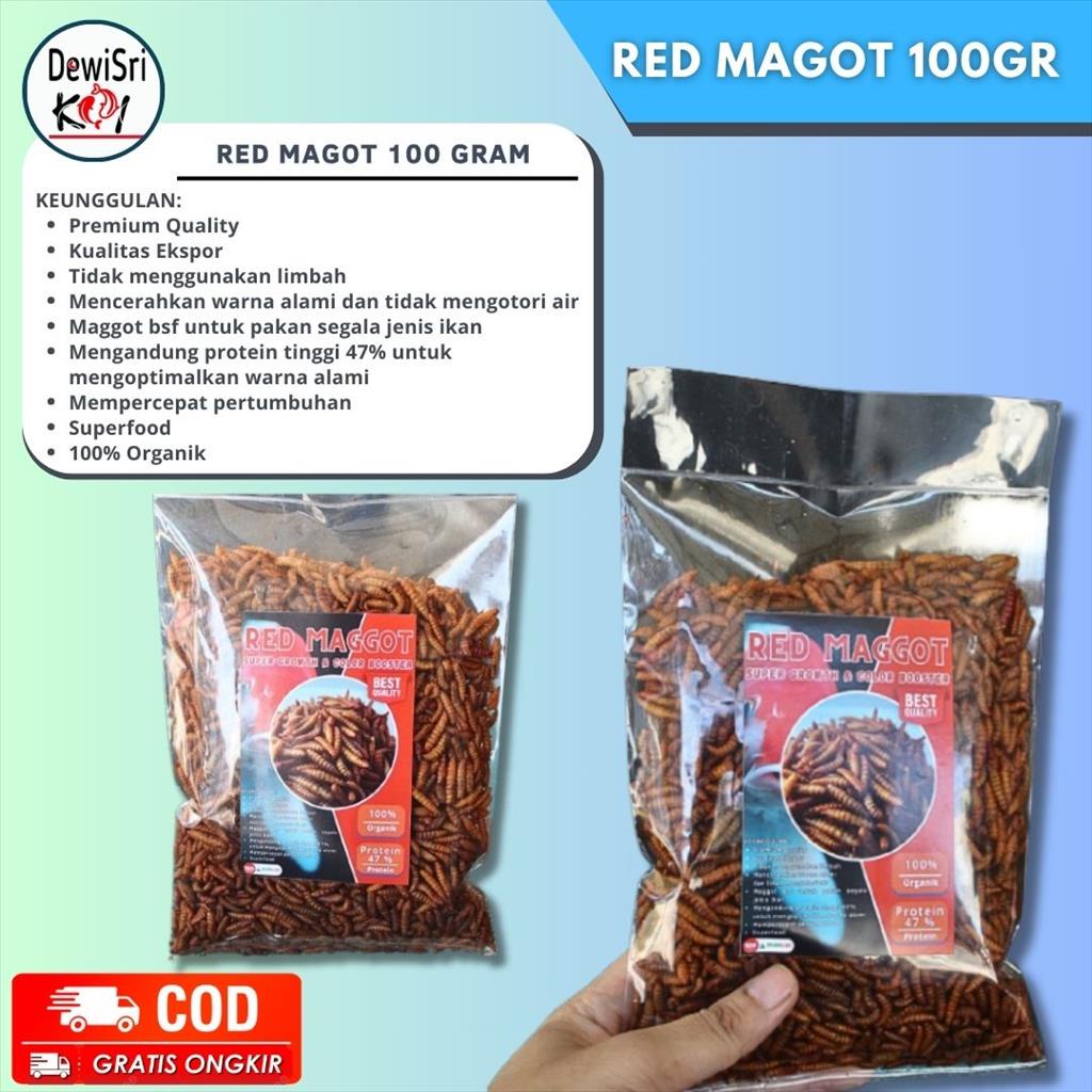 Red Maggot Super Growth Color Boster Pakan Ikan Koi / Arwana / pakan ikan koi hight protein