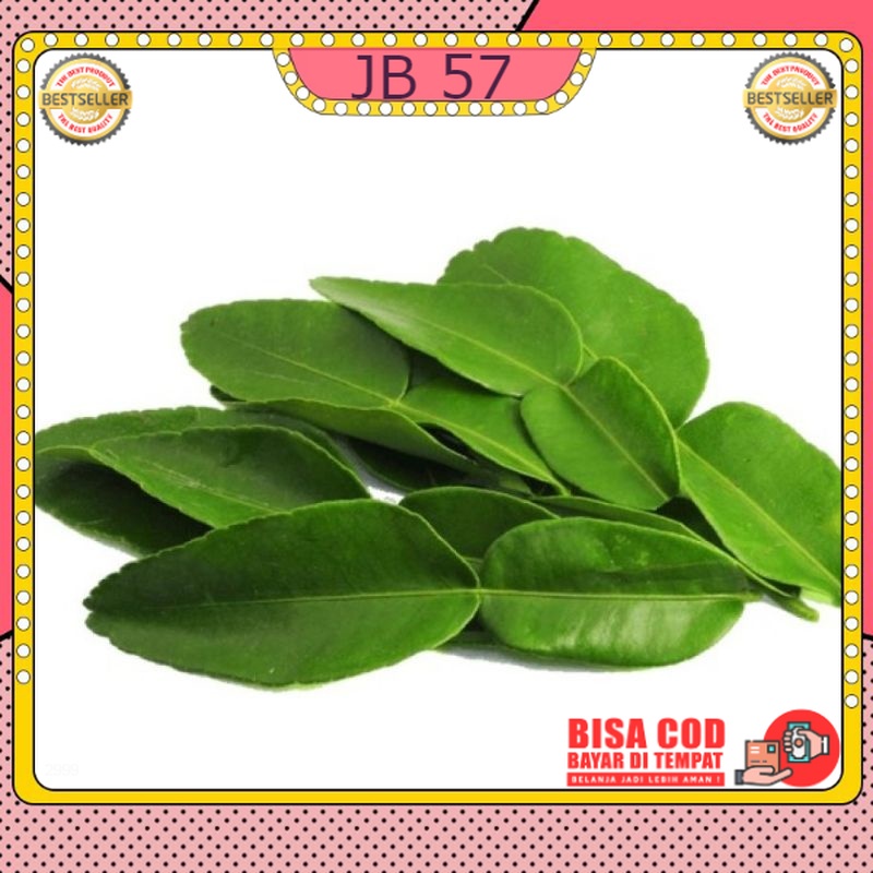 

DAUN JERUK PURUT MURAH /PACK