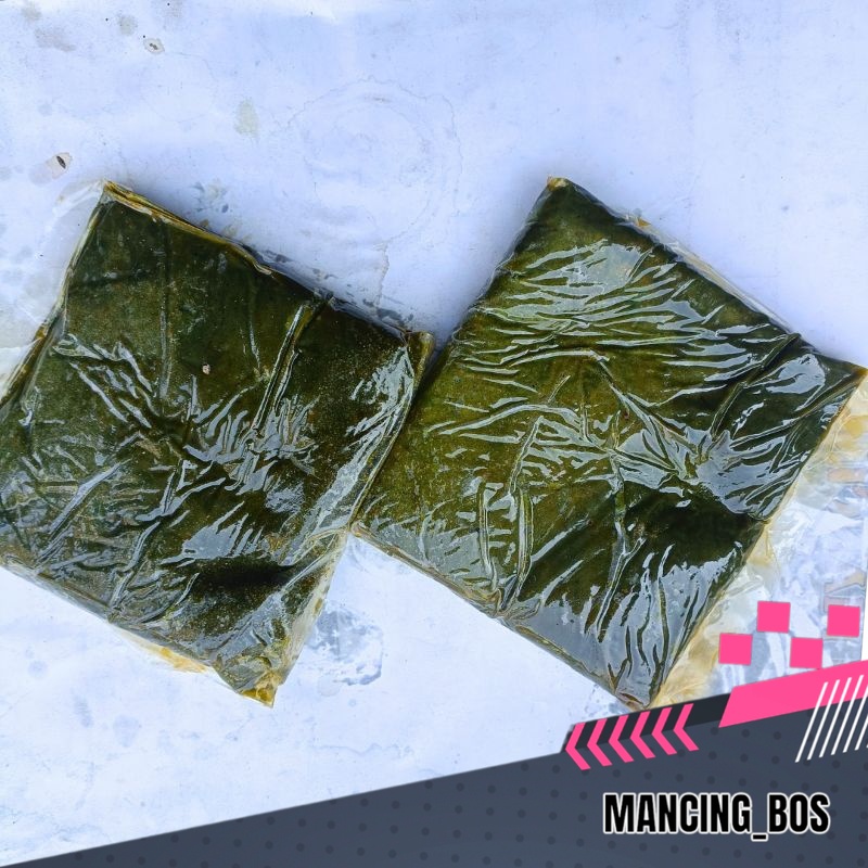 Lapindo - Umpan pancing Galatama lele paling gacor - Umpan Lele