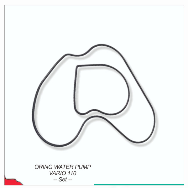 Oring Water Pump Vario 110  -- Set --