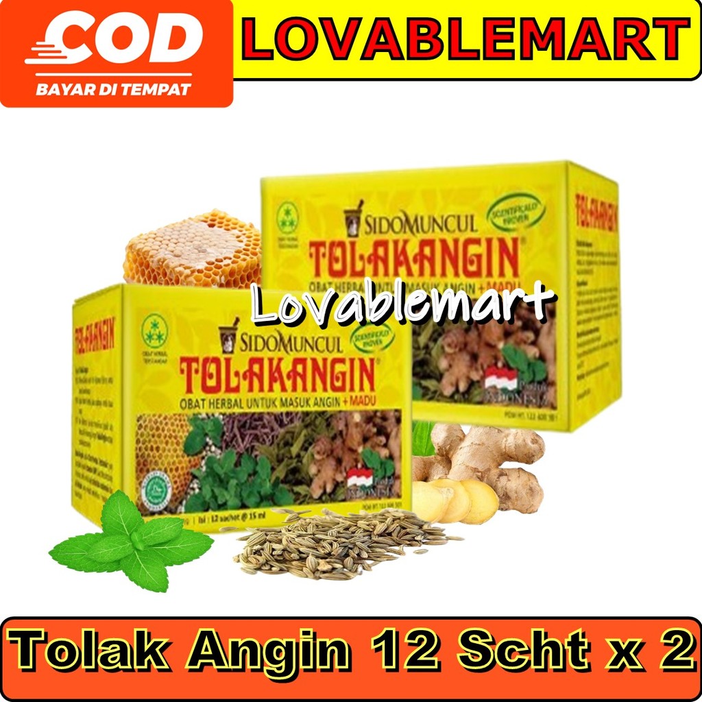 

Lovablemart Tolak Angin Cair Dus 2x12's Herbal - Masuk Angin Daya Tahan Tubuh