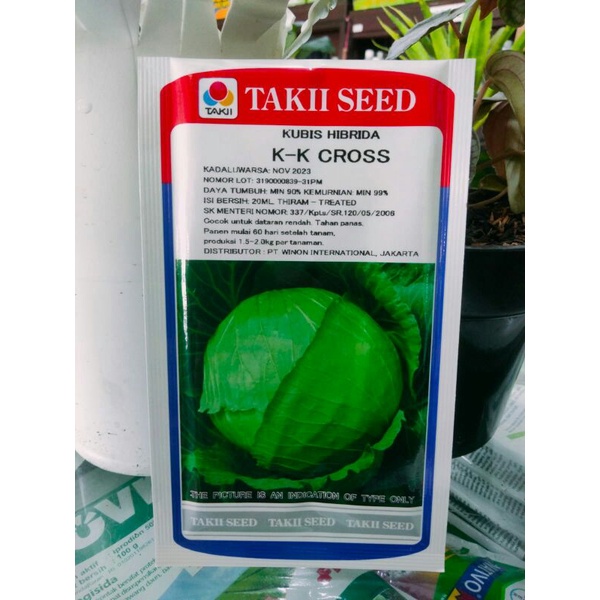 benih bibit kubis hibrida Takii Seed KK CROSS expired Nov 2023