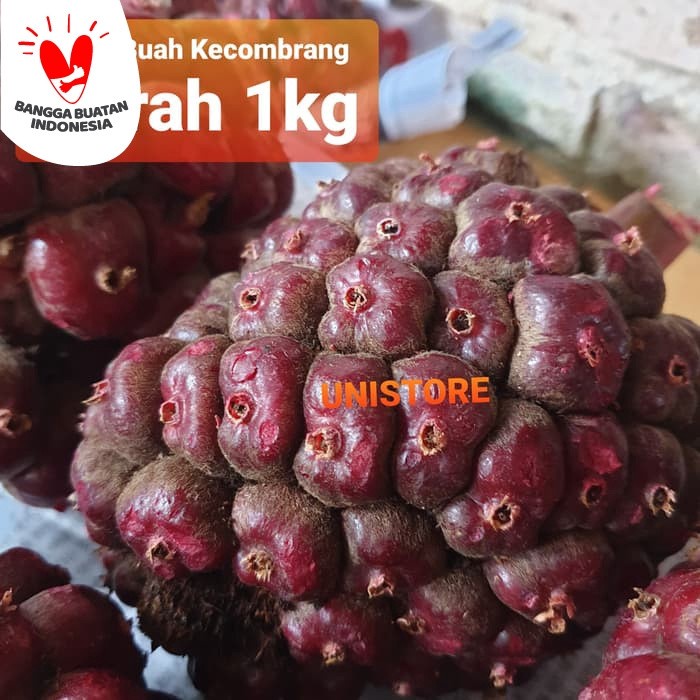 

Buah Honje merah 1kg / honje laka