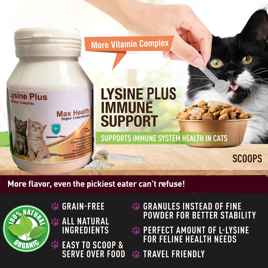 Vitamin Kucing Agar Gemuk Obat Penambah Nafsu Makan Vitamin Bulu Lebat Tidak Rontok  Kucing Lysine A