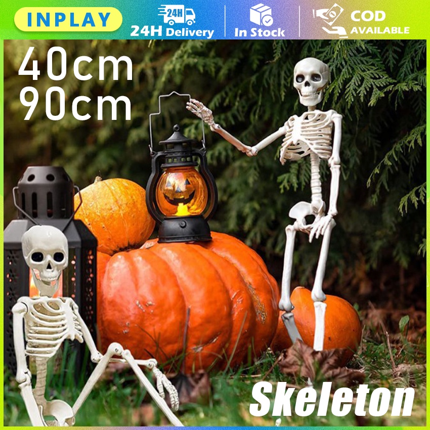 Kerangka Laboratorium Kerangka Manusia / Torso Human Skeleton Tengkorak Mini / Model Anatomi Kerangk