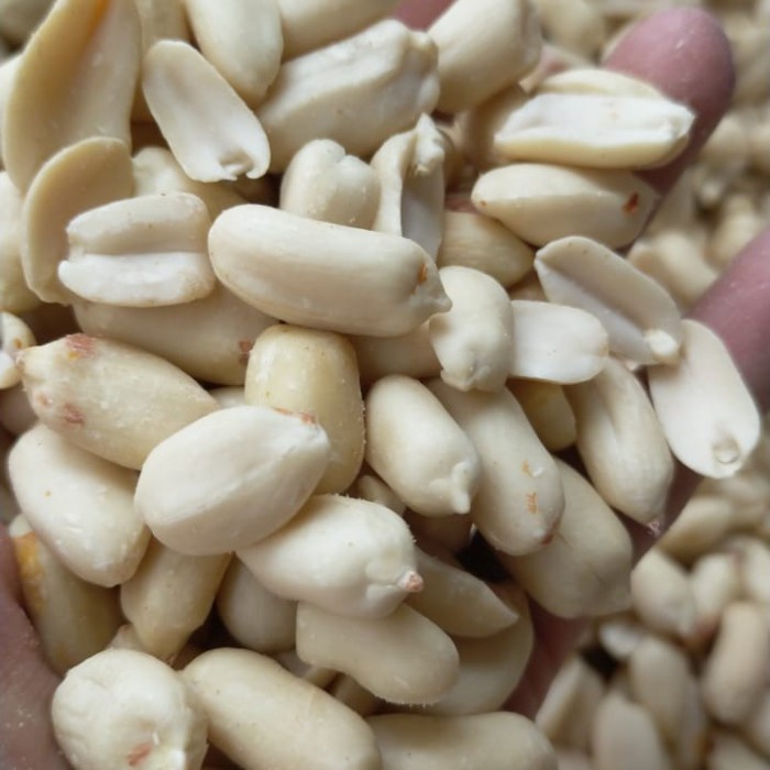 

Kacang Tanah Kupas Bersih Import 1 KG Kilo Bukan Kacang Lokal - 25/29 Jumbo