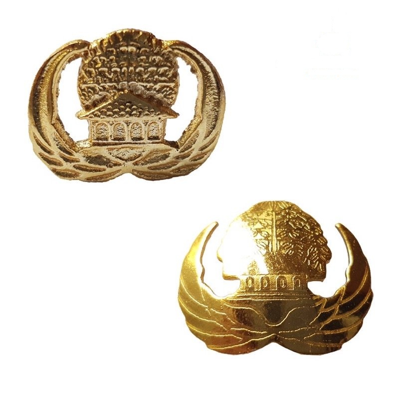 Pin Korpri ASN Resin / Cor