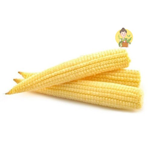 

Jagung Acar / Baby Corn - Sayur Instan Segar Malang