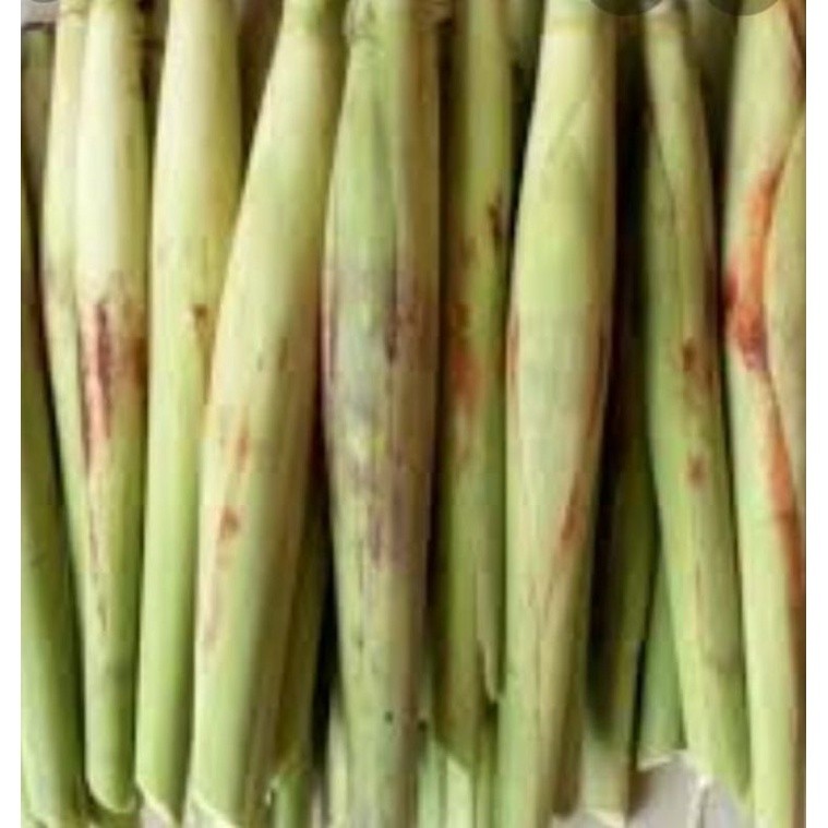 

terubuk sayurr/terubusss terubus per 500 gram