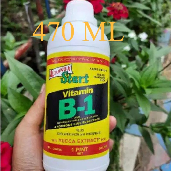 Vitamin B1 Liquinox Start 470ml | Pupuk Anti Stress Tanaman | Perangsang Akar
