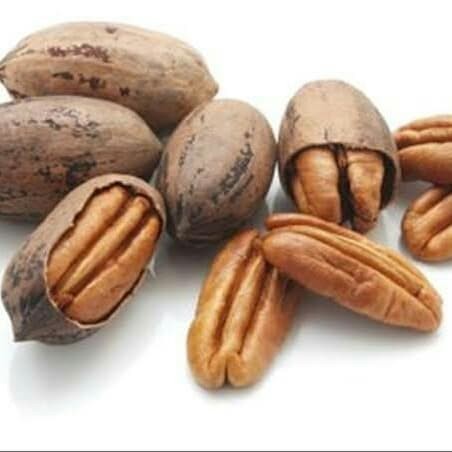 

BEST SELLER Pecan Nut 35gram / Kacang Pecan 35gram