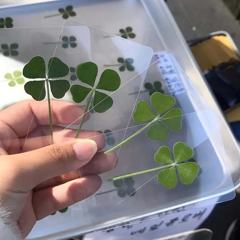 

5Pcs Lucky Clover Postcards Natural Grass Transparent Wishing Cards Ideal for Bookmarks & Decorations Perfect Holiday Gifts
