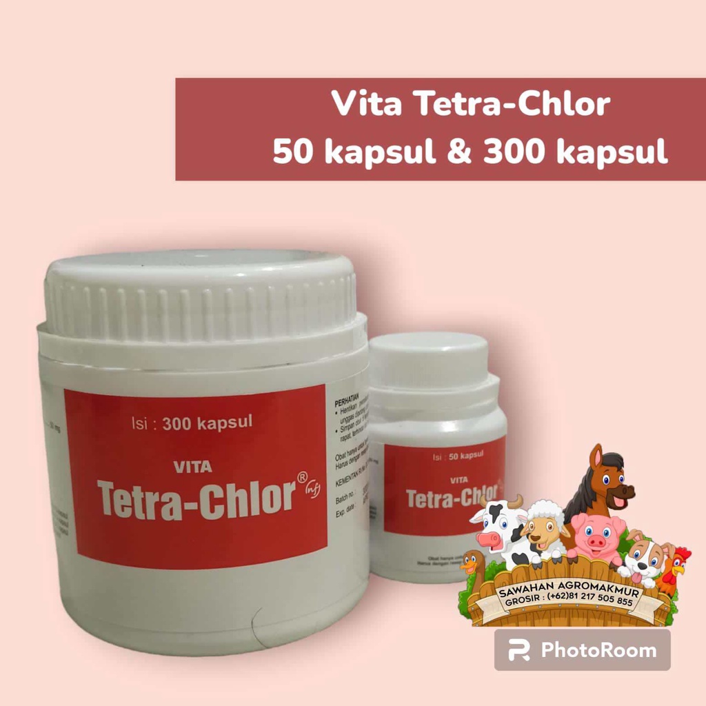 vita tetra chlor JUMBO isi 300 kapsul MURAH tetra klor  obat ayam aduan jago bangkok ngorok snot pil