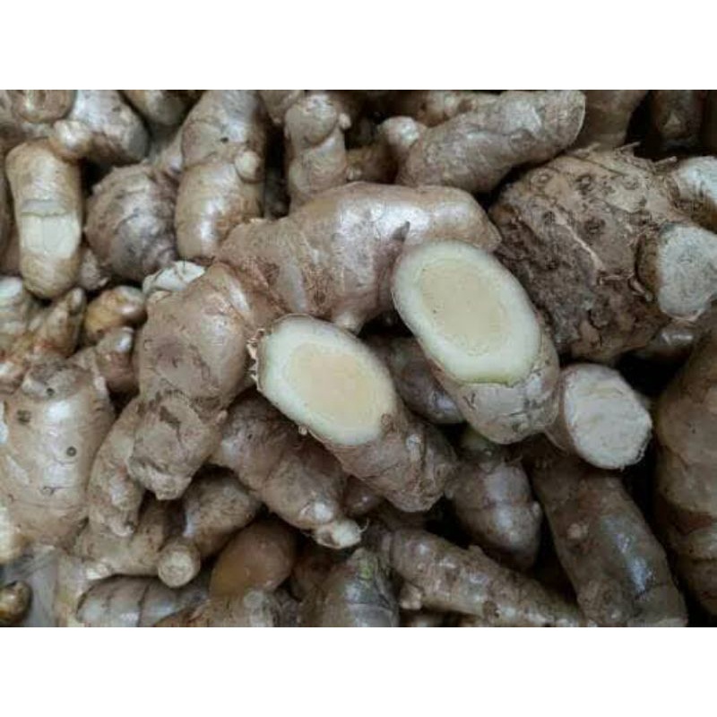 

COD-Kunyit Putih/Temu Putih Segar 1kg Curcuma Zedoaria