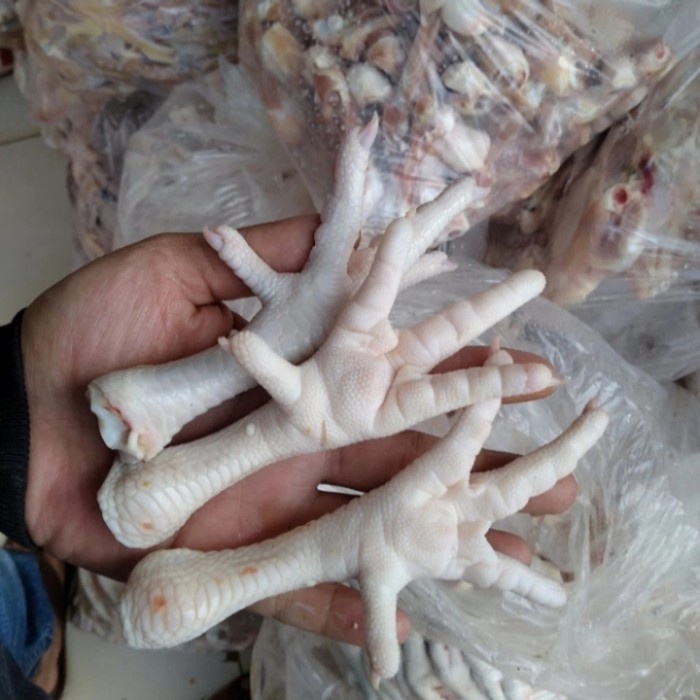 

Ceker Ayam Broiler Segar Fresh