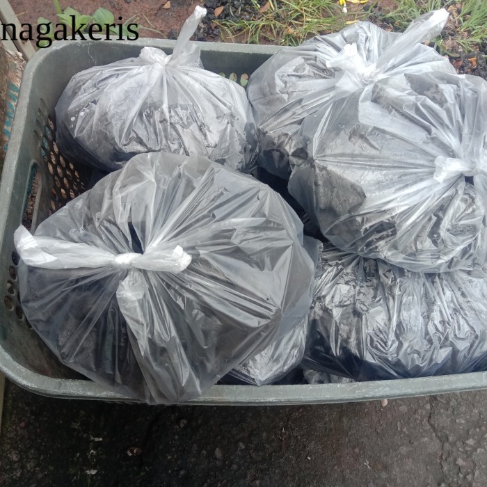 arang kayu,arang kayu 1 kg terlaris