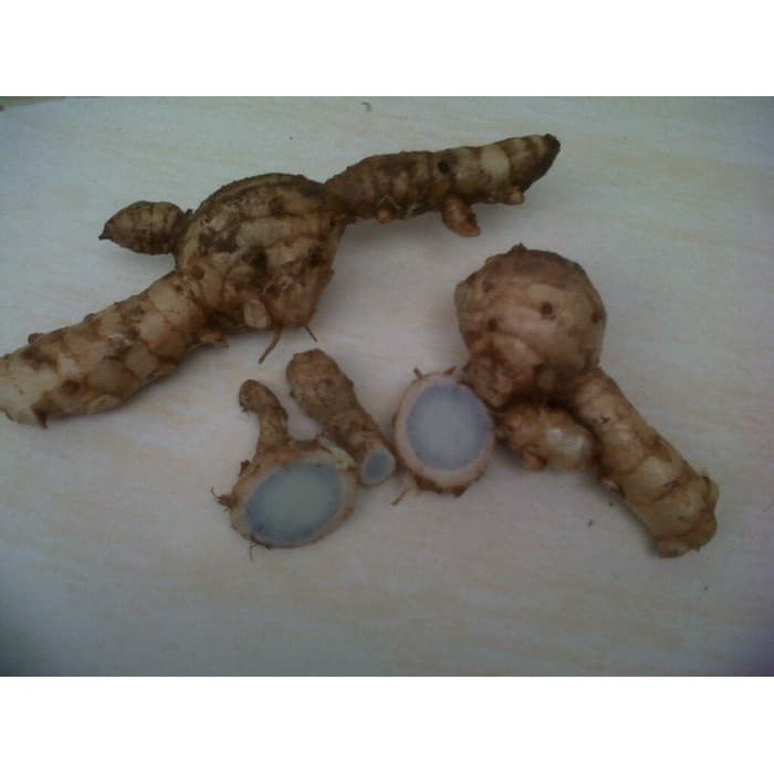 

Promo COD Temu hitam segar 1 kg - temu ireng fresh