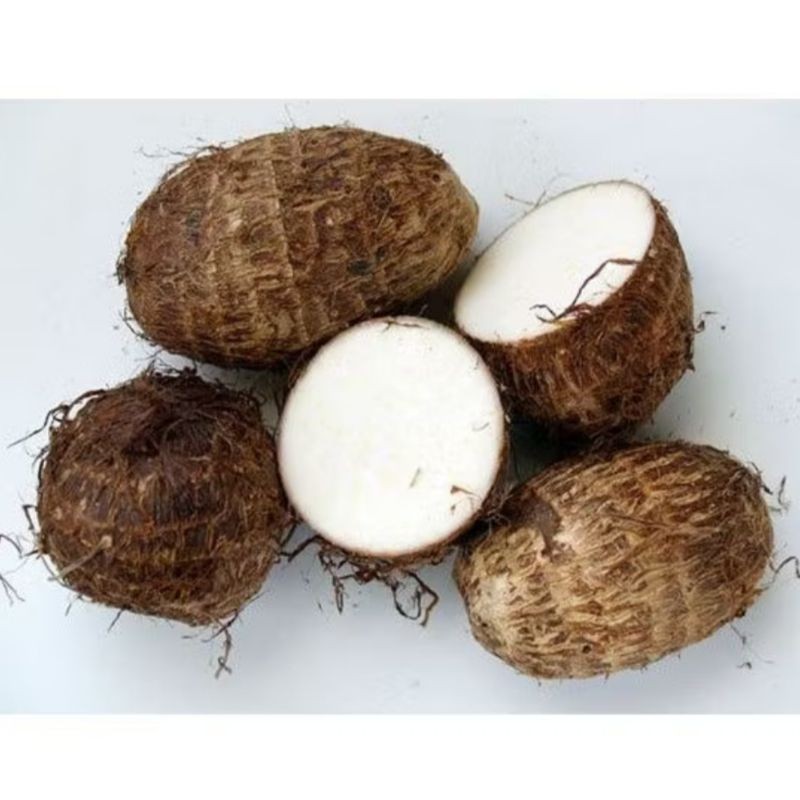 

TERLARIS Umbi Talas Pulen Segar 1kg Umbi Talas Pilihan