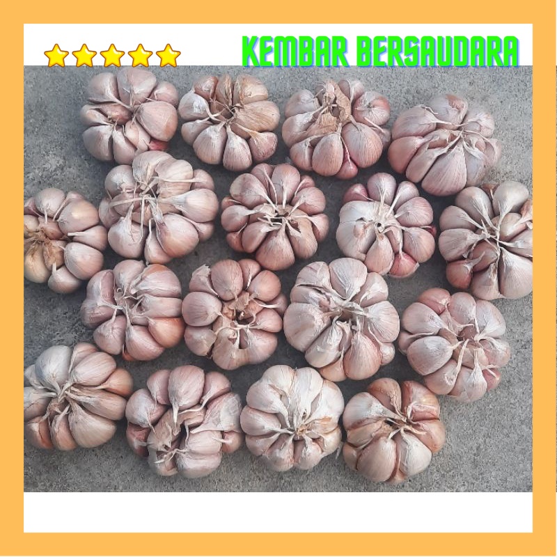 

BAWANG PUTIH SINCO BERSIH 1KG. jaminan tidak ada yg busuk