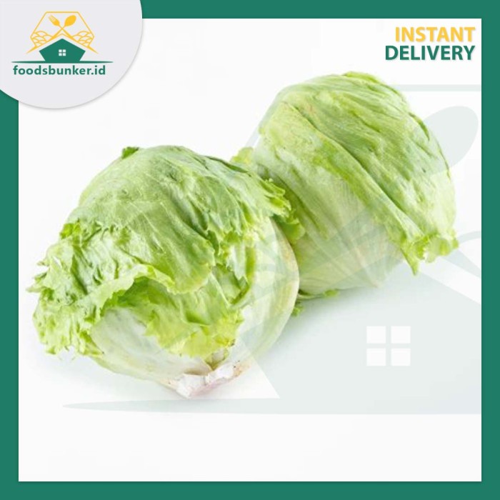 

Lettuce Sayur Segar