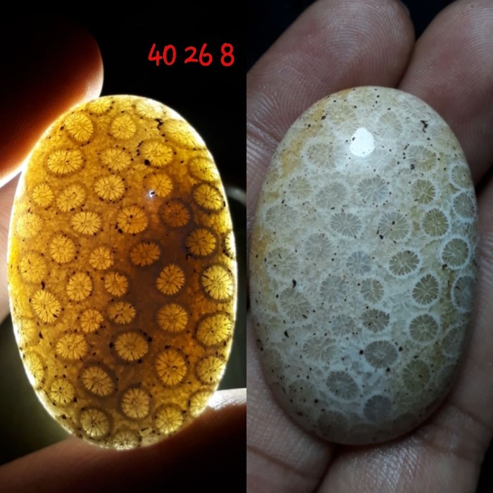 Natural Batu Akik Motif Gambar Bunga Teratai Unik Antik 32