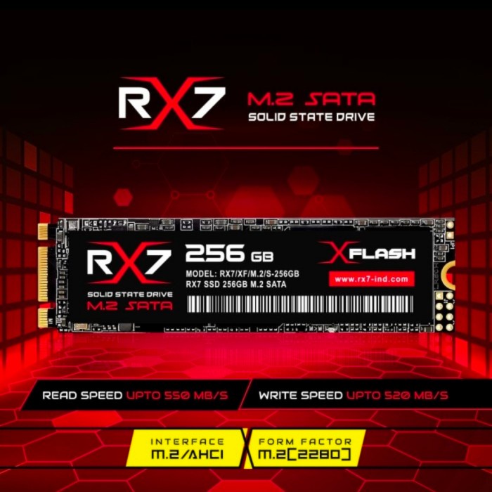 SSD M2 SATA 256GB RX7 - SSD ONLY