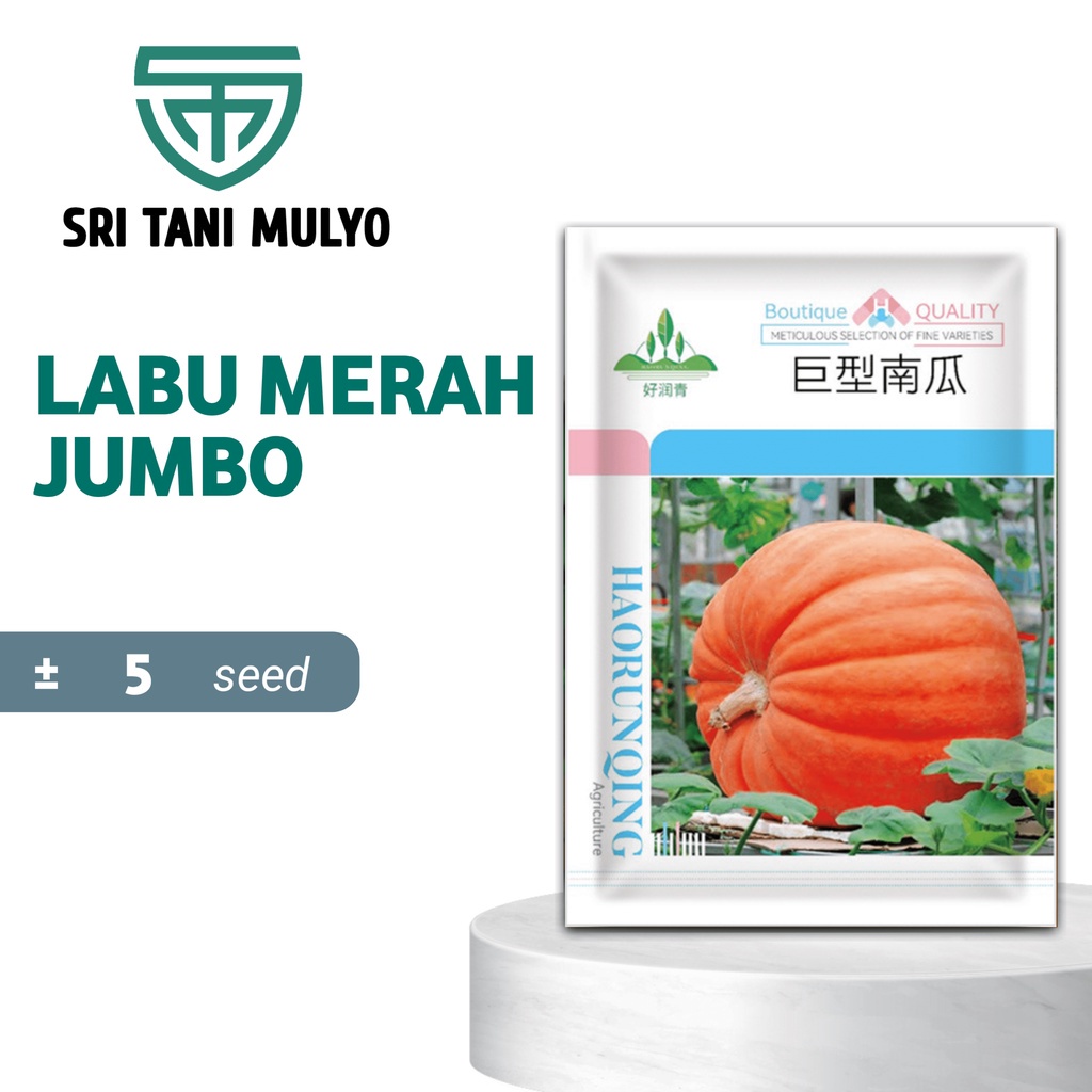 Melar Seed Bibit Benih Labu Raksasa Atlantic's Giants Pumpkins Seed F1 / Benih Labu Raksasa / Biji L