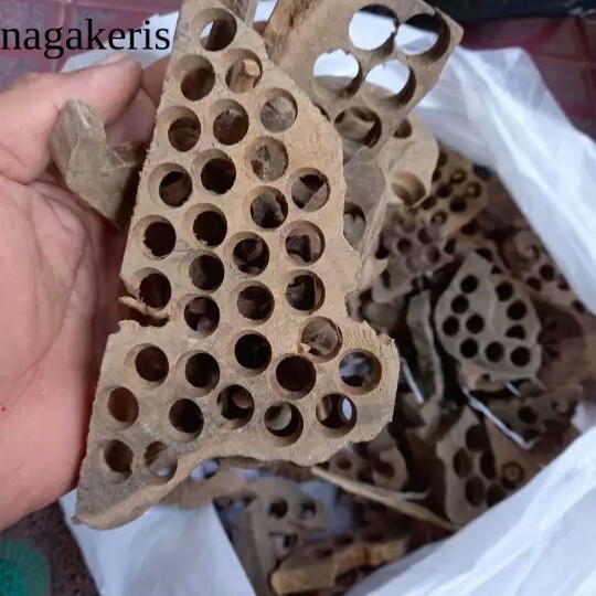 

Kayu gaharu kalimantan 1kg kayu gaharu bakar kayu gaharu asli grade A laris