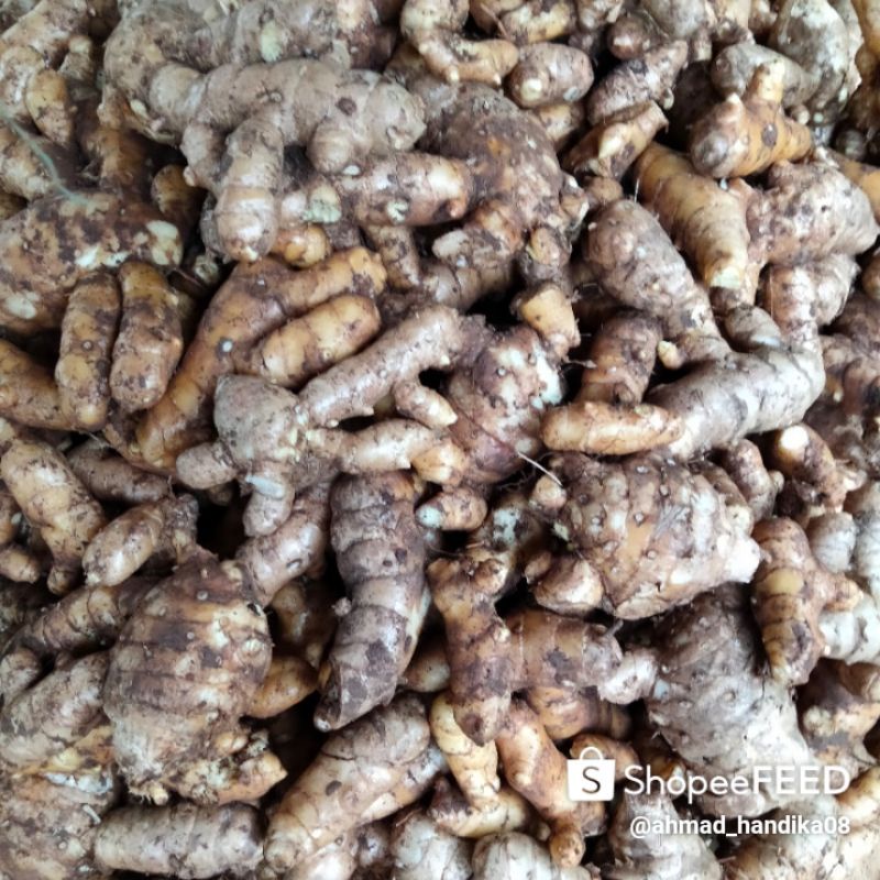 

Promo temu putih kunyit putih,(0,5kg) segar bersih dan sehat