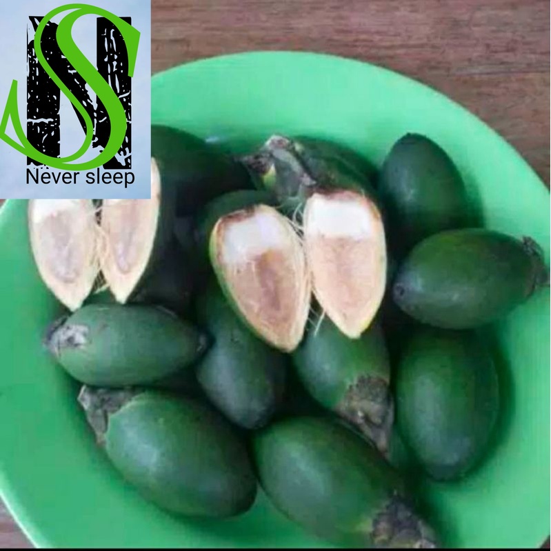 

PINANG JAMBE MUDA HERBAL