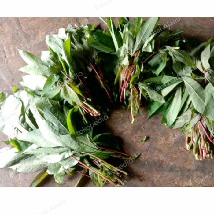 

250 gram daun singkong muda buat lalap