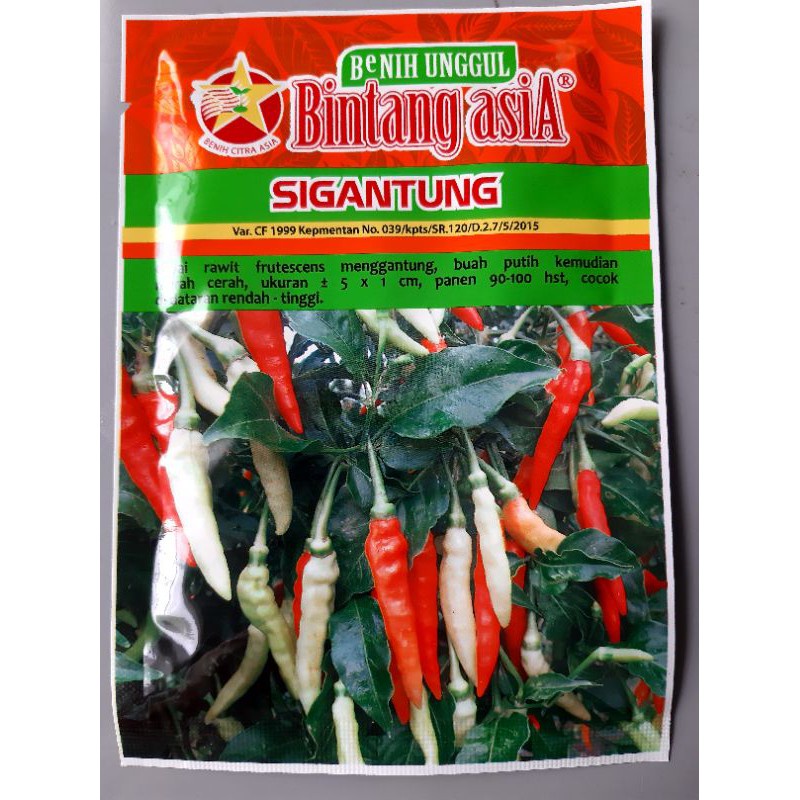 Benih Cabai Rawit Sigantung 10gr
