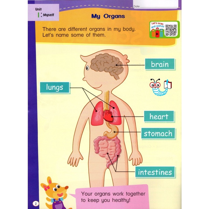 

I-Leap K1 Science Coursebook A