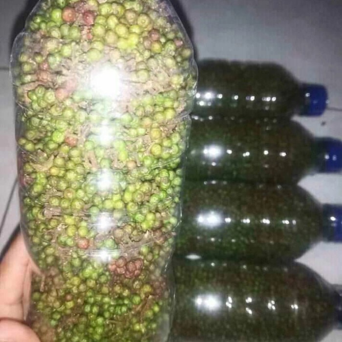 

New Produk Termurah andaliman