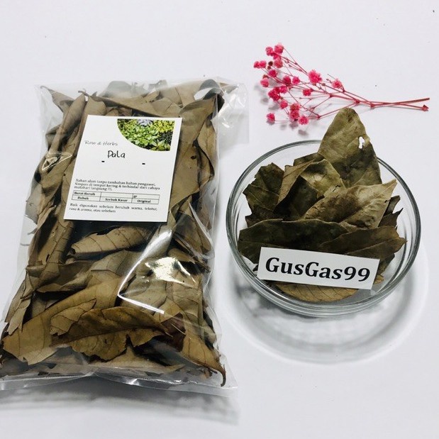 

(50g) Daun Pala Nutmeg Leaf MURNI Kering Herbal Tradisional Jurus Sehat Rempah JSR