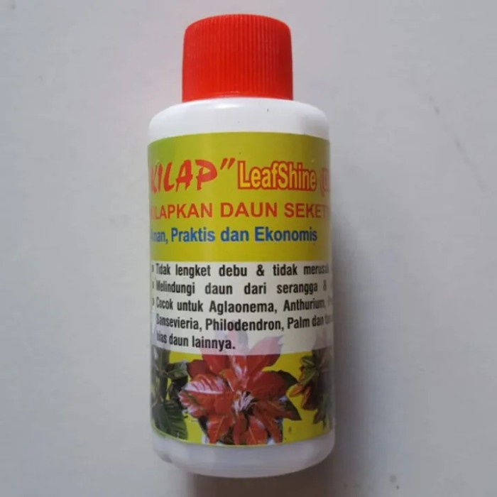 pengkilap daun tanaman hias