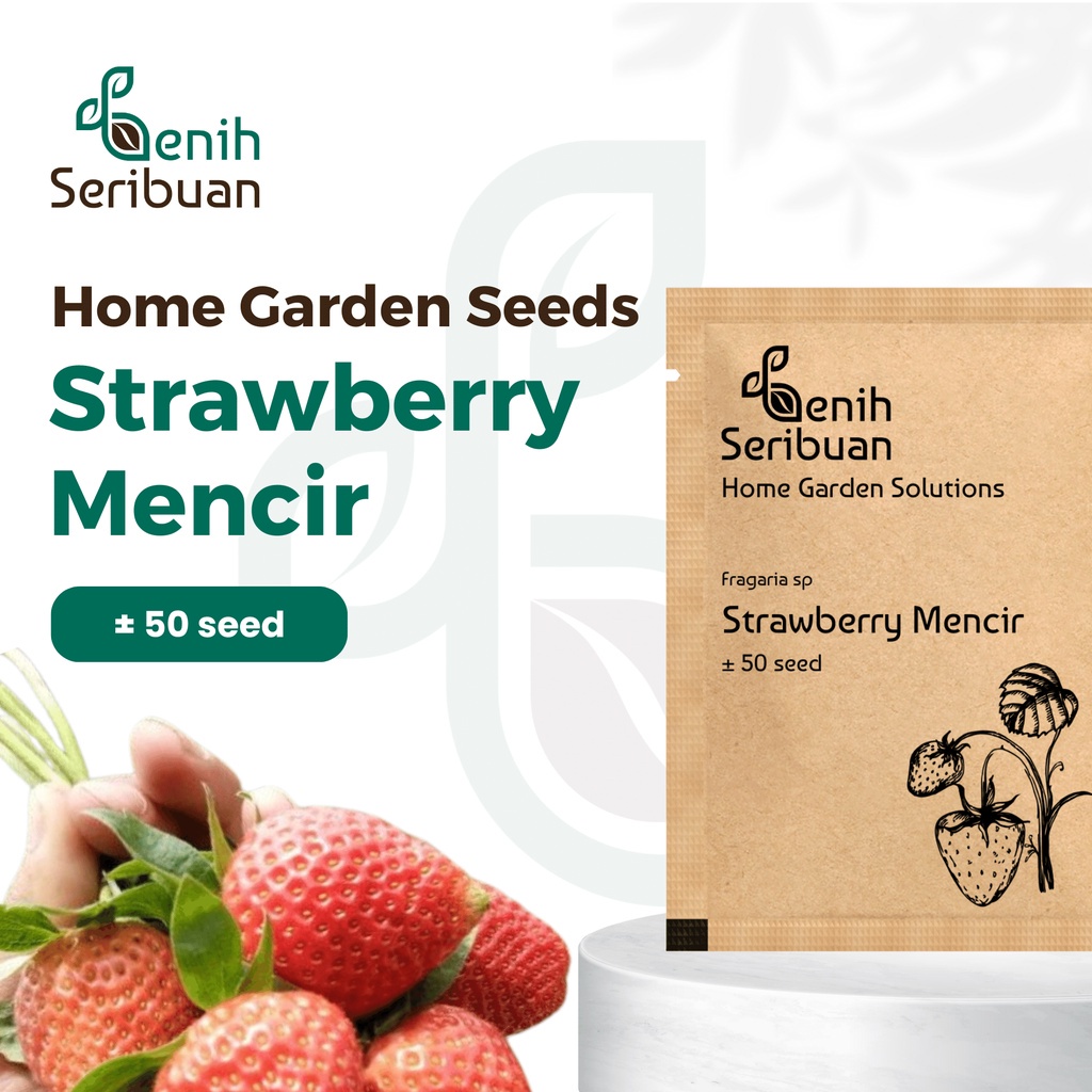 Benih Seribuan - Benih Buah Strawberry Mencir Cocok Dataran Rendah Unggul