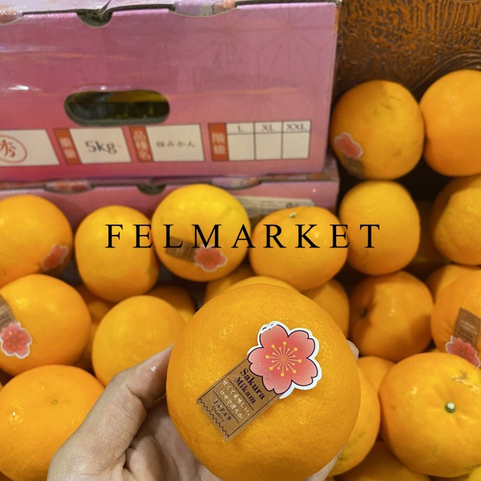 

Jeruk Sakura Mikam Jepang Fresh Import 0.6 kg