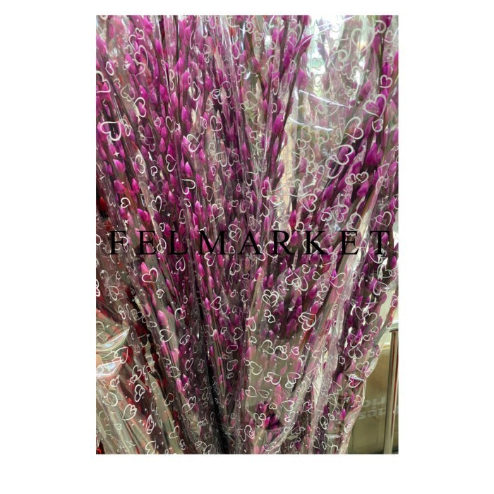 Pussy Willow Pink Muda / Pussy Willow Imlek 4 Feet / Ikat