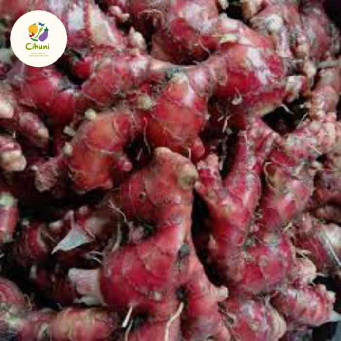 

jahe merah super asli murah 1kg - 1/4 kg